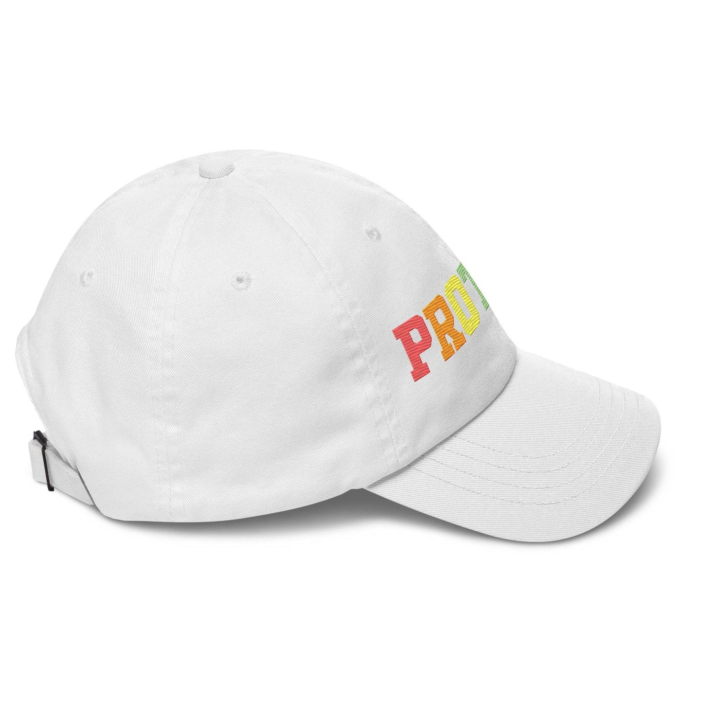 Introducing the Pridelity Protest Cap: A sleek black baseball cap with "PROTEST" intricately embroidered in vibrant rainbow colors on the front, making it an ideal addition to your pride ensemble.