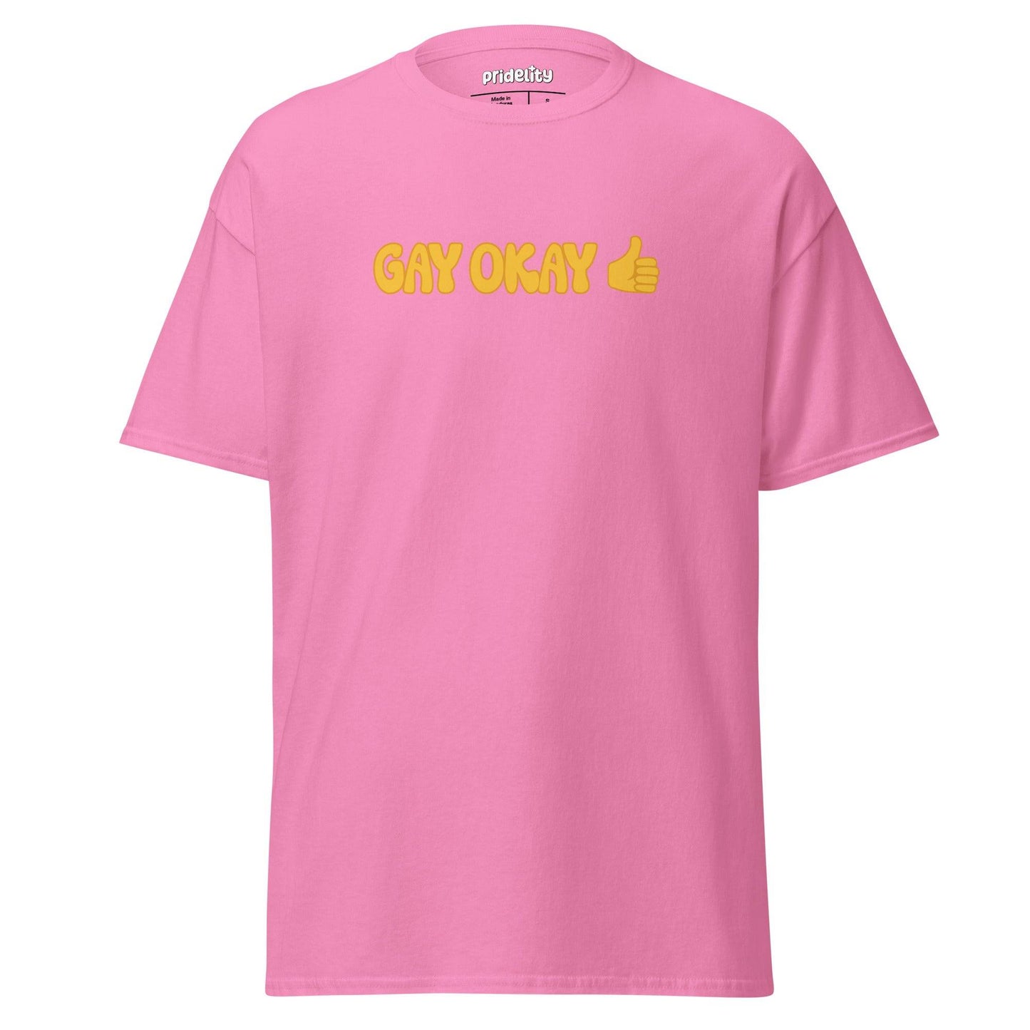 A black T-shirt with the phrase "GAY OKAY" printed prominently in vivid yellow letters, alongside a yellow thumbs-up emoji. The brand name "Pridelity" is stylishly featured on the inside label at the neckline, making it an ideal addition to this year's pride collections.