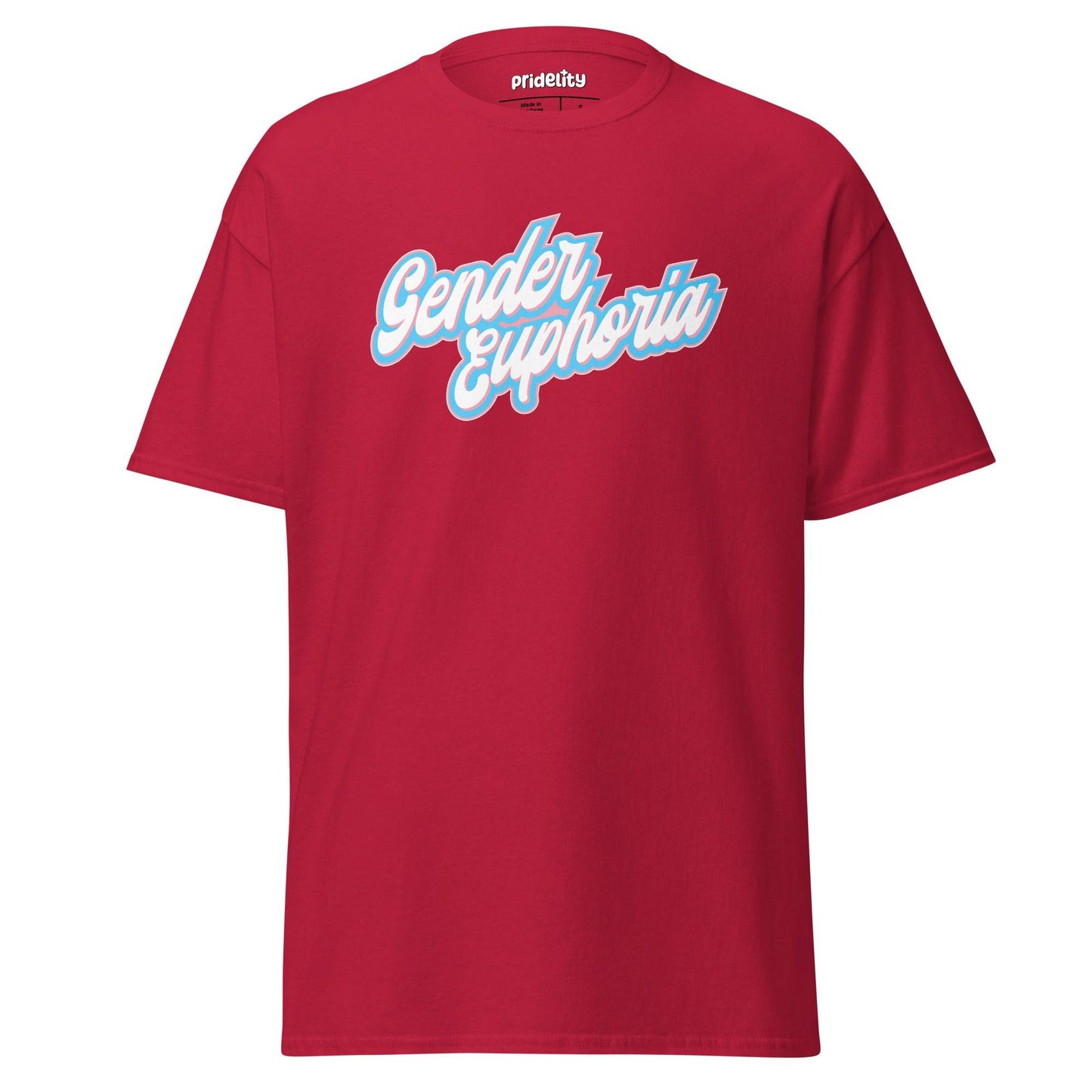Light blue Pridelity T-shirt from our exclusive pride collection, featuring "Gender Euphoria" boldly printed in white and pink script across the front.