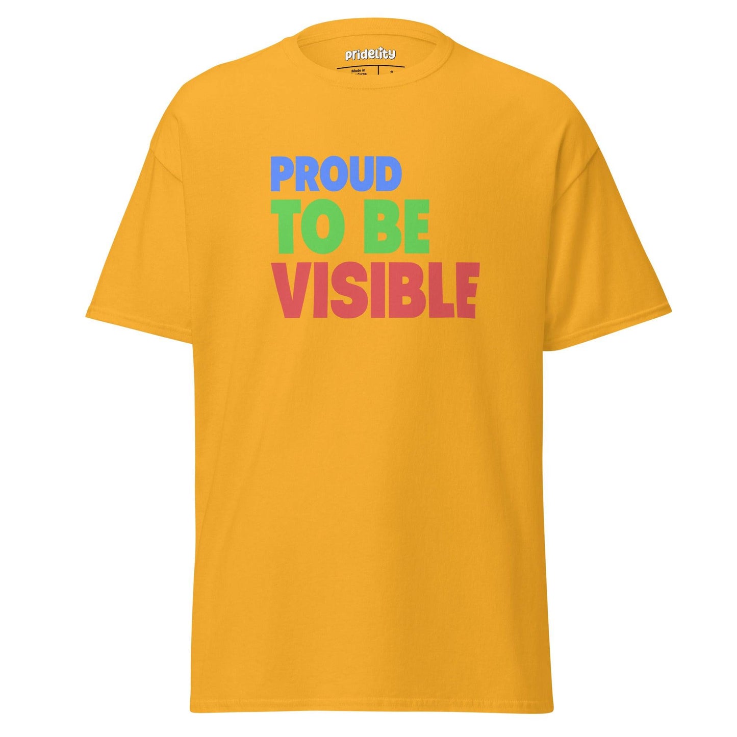 A light blue "Proud To Be Visible" T-shirt by Pridelity, featuring bold and colorful text in blue, green, and red, is showcased against a plain white background.
