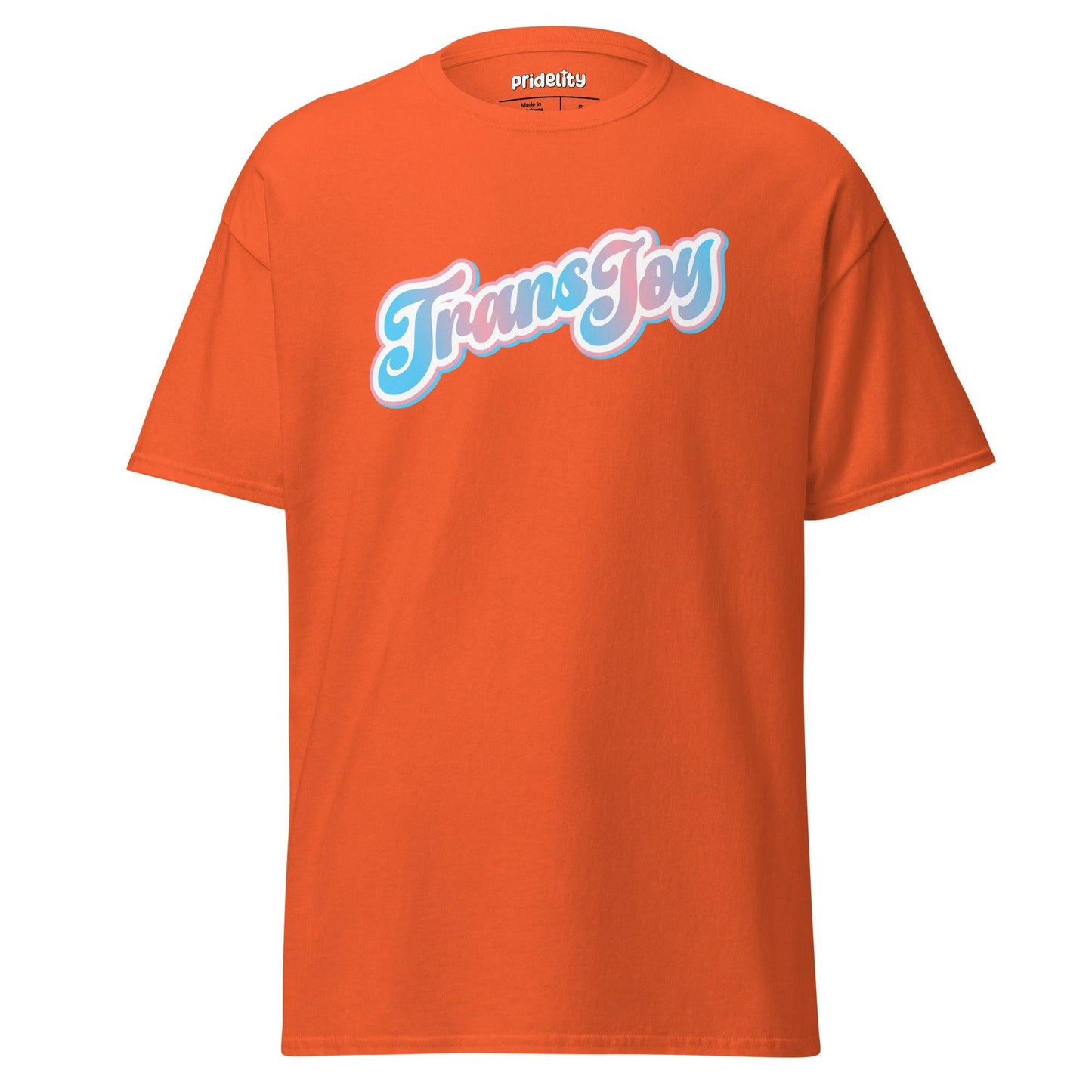 A light blue Pridelity T-shirt, named the Trans Joy T-Shirt, showcases the phrase "Trans Joy" in a stylized pink and white font across the chest.