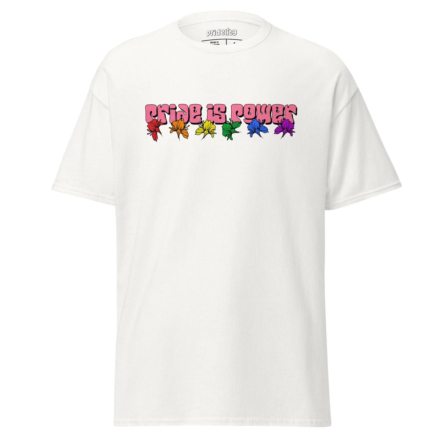 Introducing the Pride Is Power T-Shirt by Pridelity, adorned with "PRIDE IS POWER" in vivid, bold letters across the chest and complemented by a row of six stylish leaves representing each hue of the rainbow.