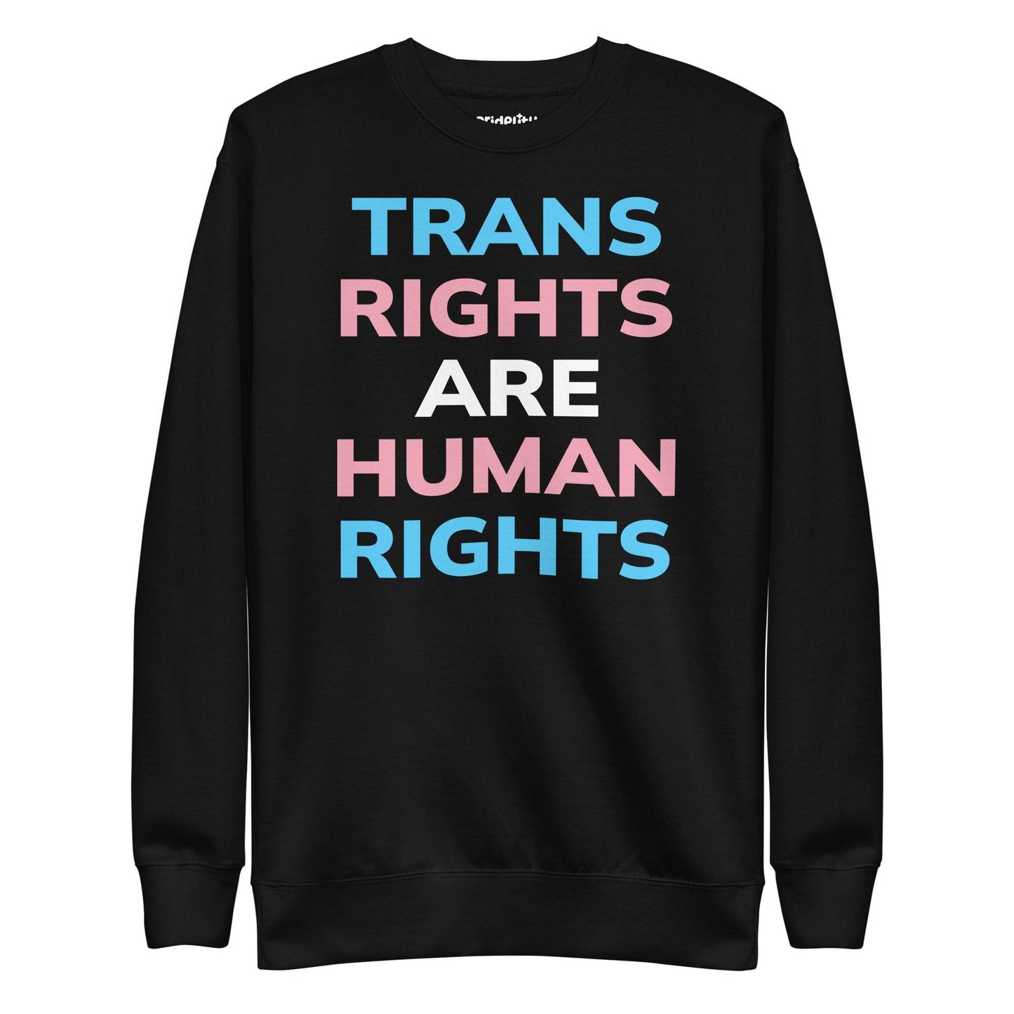 Introducing the Trans Rights Sweatshirt by Pridelity—a black sweatshirt prominently featuring the phrase "Trans Rights Are Human Rights" in striking blue, pink, and white letters. As a piece from our exclusive pride collection, it’s ideal for making a bold statement with any pride ensemble.