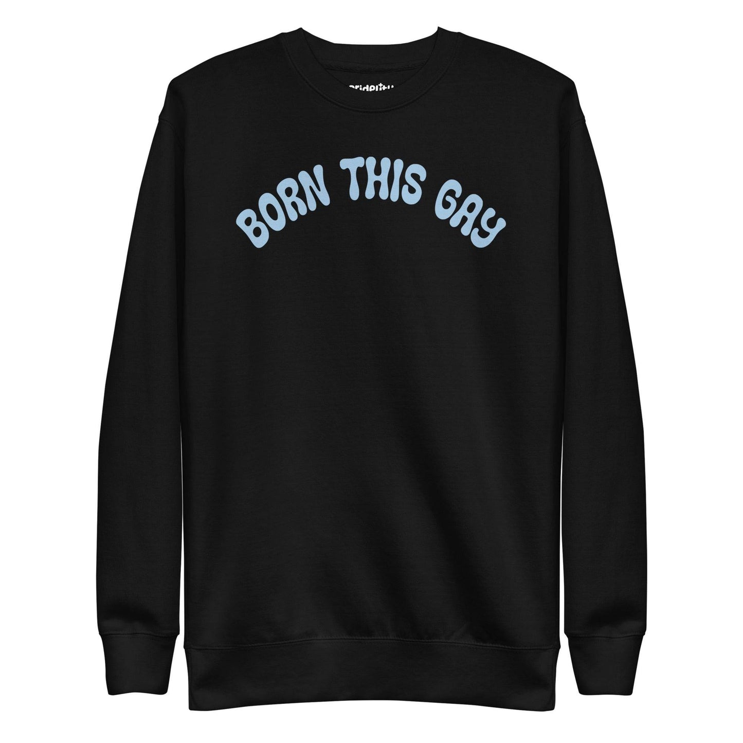 Introducing the **Born This Gay Sweatshirt** by Pridelity, a striking piece from our Pride Merch collection. This black sweatshirt proudly showcases the phrase "BORN THIS GAY" in light blue, elegantly curved across the chest.