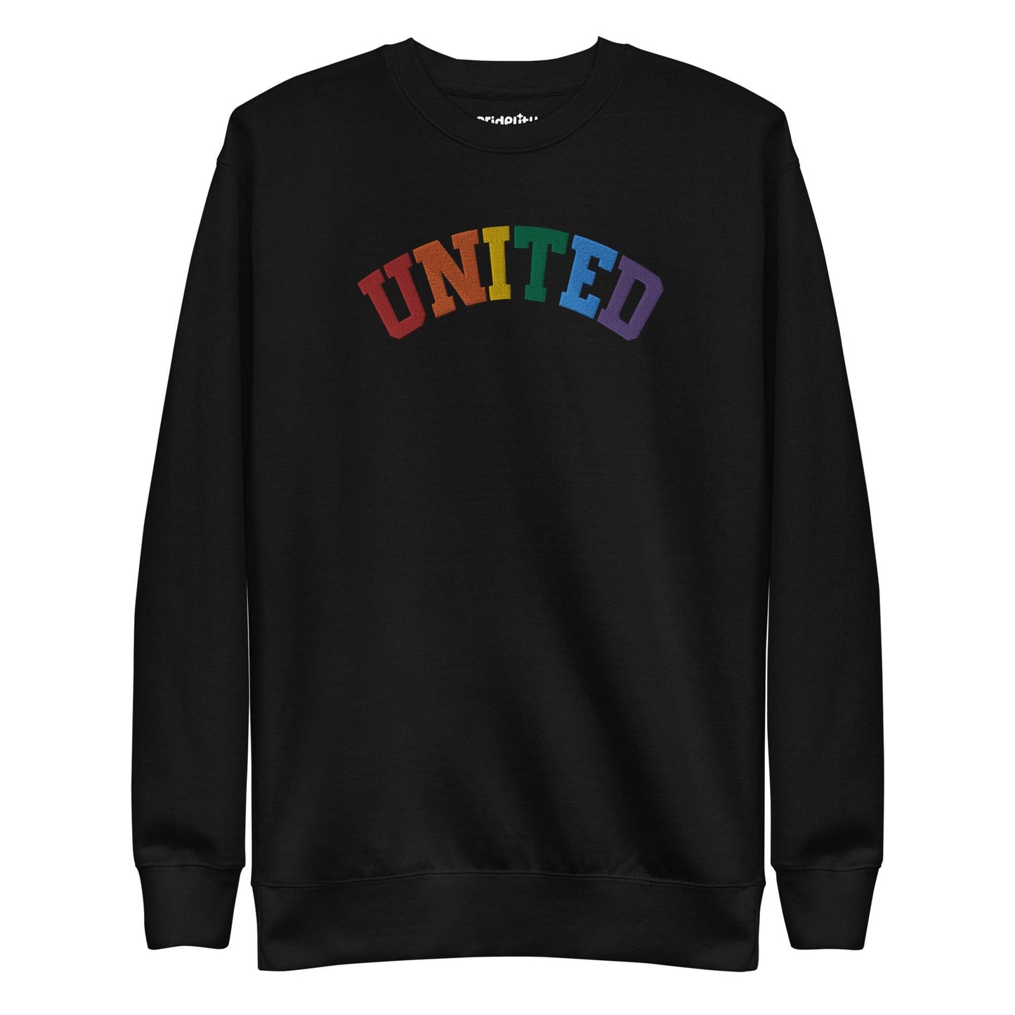 The United Sweatshirt from Pridelity's pride collection is a black design showcasing the word "UNITED" arced across the chest, with each letter in a different color to form a vibrant rainbow pattern. It features long sleeves and a crew neck, making it an ideal pride outfit for any occasion.