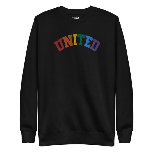 The United Sweatshirt from Pridelity's pride collection is a black design showcasing the word "UNITED" arced across the chest, with each letter in a different color to form a vibrant rainbow pattern. It features long sleeves and a crew neck, making it an ideal pride outfit for any occasion.