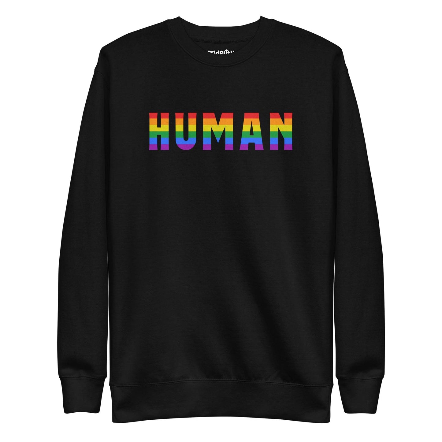 The Pridelity Human Sweatshirt features the word "HUMAN" in bold, rainbow-colored letters across its black fabric, embodying the essence of rainbow clothing against a plain white backdrop.