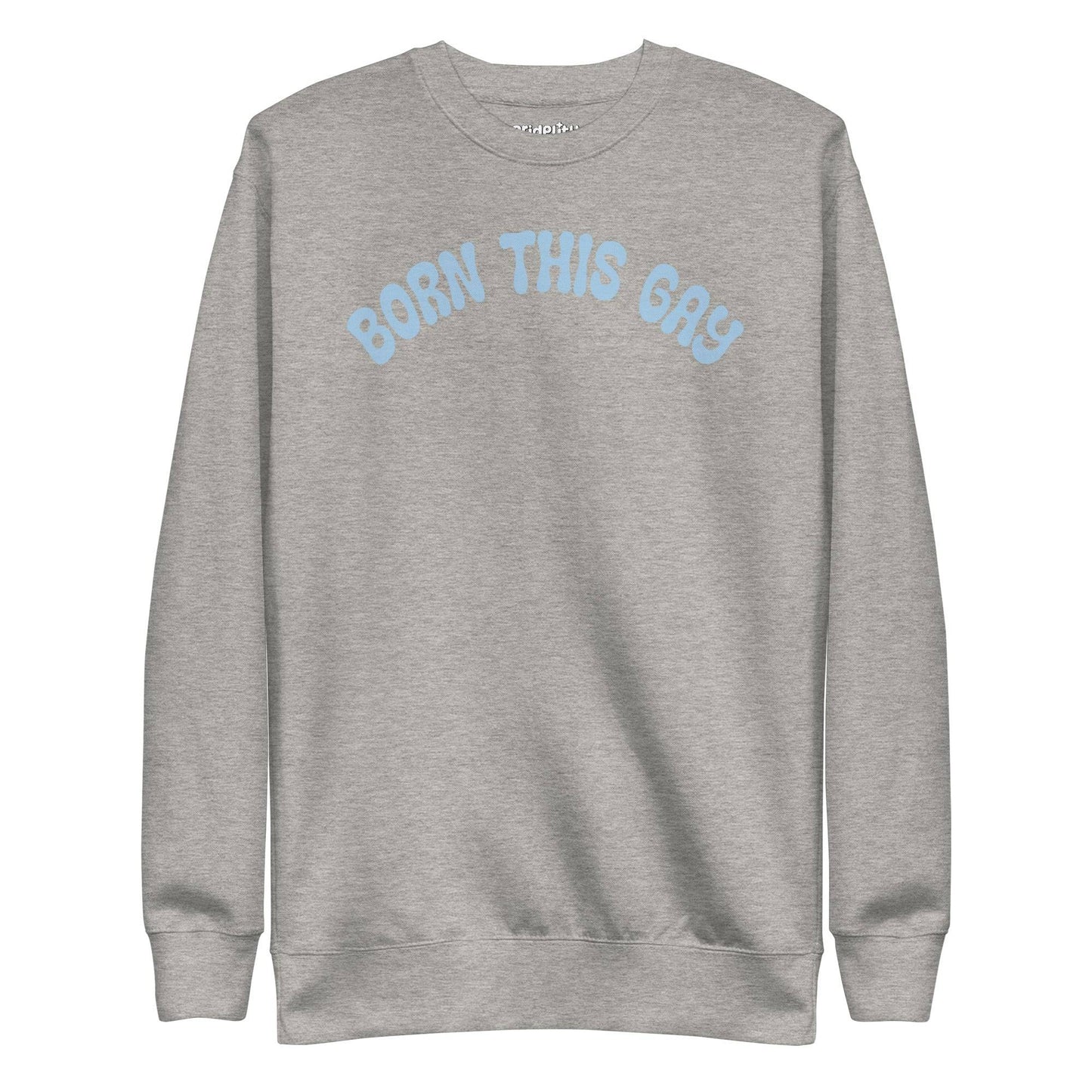 Introducing the **Born This Gay Sweatshirt** by Pridelity, a striking piece from our Pride Merch collection. This black sweatshirt proudly showcases the phrase "BORN THIS GAY" in light blue, elegantly curved across the chest.