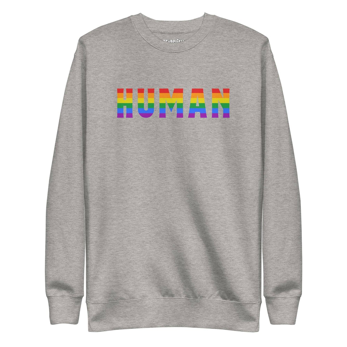 The Pridelity Human Sweatshirt features the word "HUMAN" in bold, rainbow-colored letters across its black fabric, embodying the essence of rainbow clothing against a plain white backdrop.
