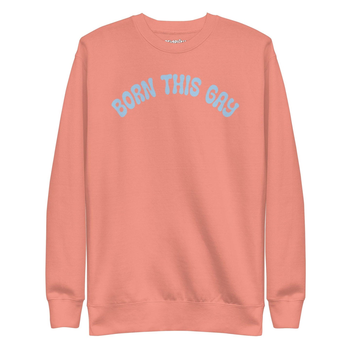Introducing the **Born This Gay Sweatshirt** by Pridelity, a striking piece from our Pride Merch collection. This black sweatshirt proudly showcases the phrase "BORN THIS GAY" in light blue, elegantly curved across the chest.