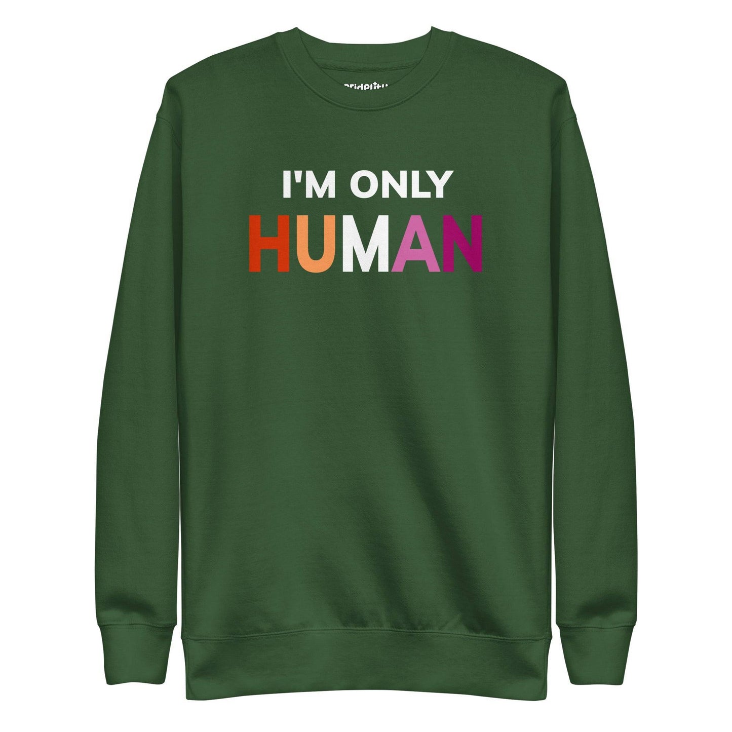 Introducing the "I'm Only Human" Sweatshirt by Pridelity—a black garment emblazoned with the phrase "I'M ONLY HUMAN" in striking white letters, enhanced with a lively rainbow color design across the front.