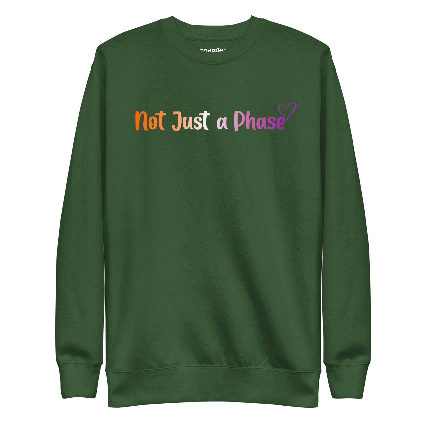 The black Not Just A Phase Sweatshirt by Pridelity, featuring rainbow text that reads "Not Just a Phase" and accented with a small purple heart on the right side, is a standout piece in any pride outfit.