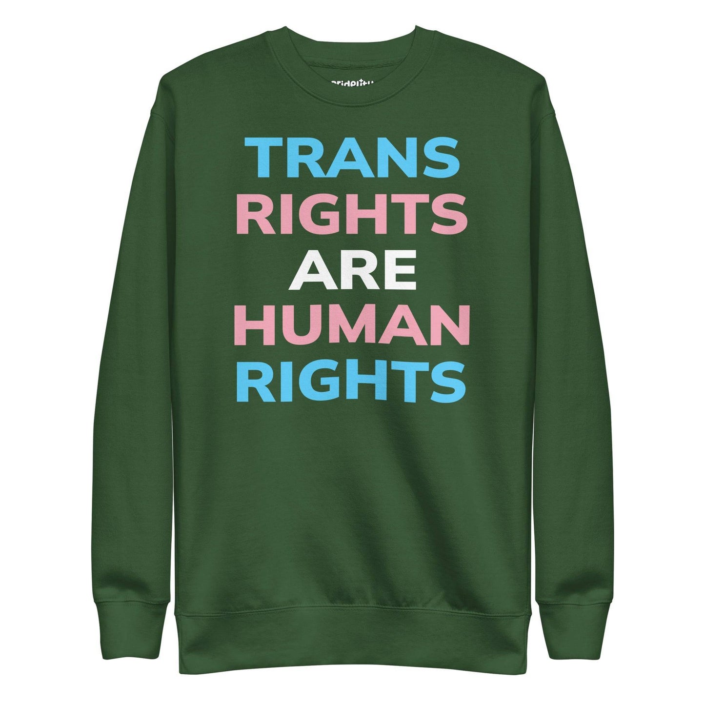 Introducing the Trans Rights Sweatshirt by Pridelity—a black sweatshirt prominently featuring the phrase "Trans Rights Are Human Rights" in striking blue, pink, and white letters. As a piece from our exclusive pride collection, it’s ideal for making a bold statement with any pride ensemble.