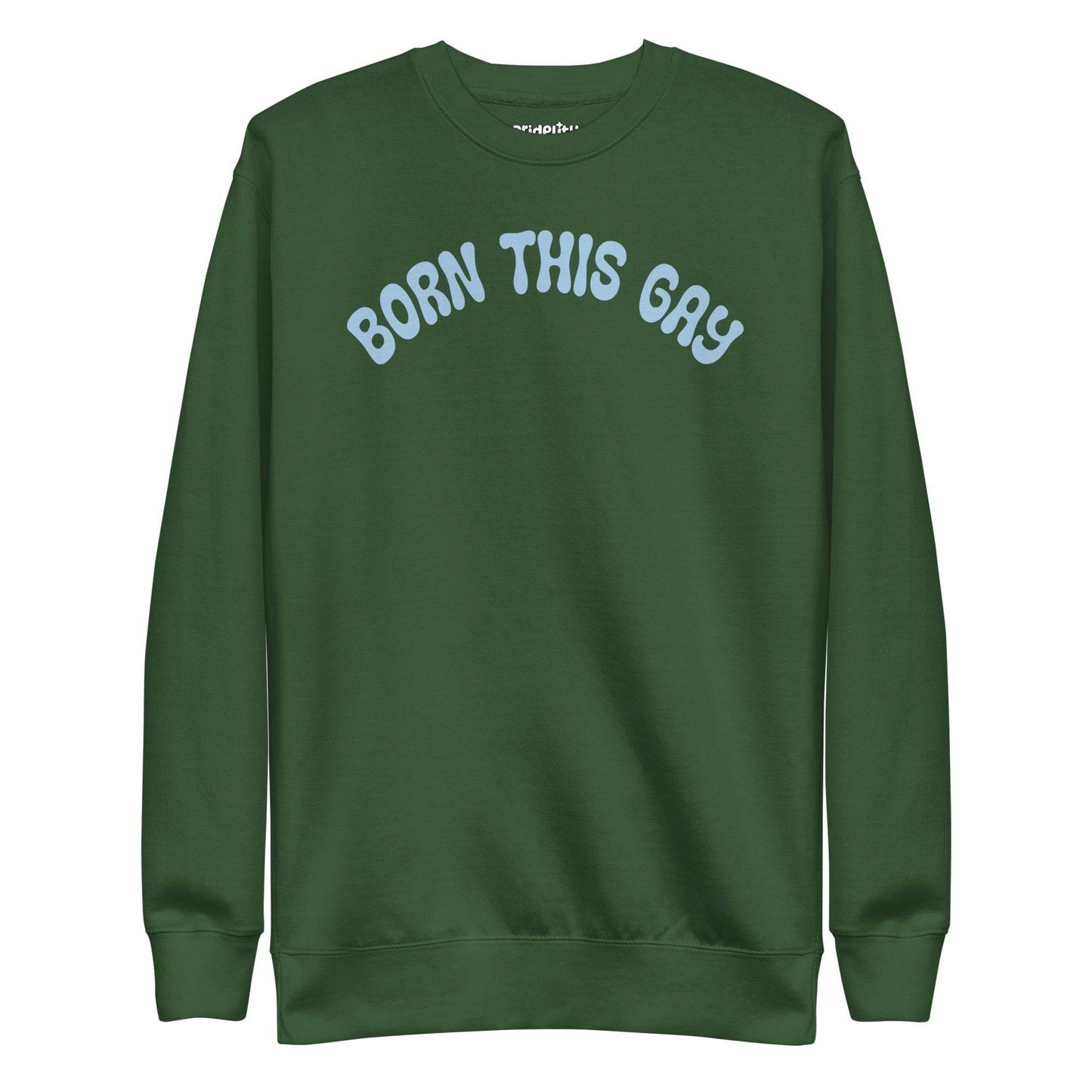 Introducing the **Born This Gay Sweatshirt** by Pridelity, a striking piece from our Pride Merch collection. This black sweatshirt proudly showcases the phrase "BORN THIS GAY" in light blue, elegantly curved across the chest.