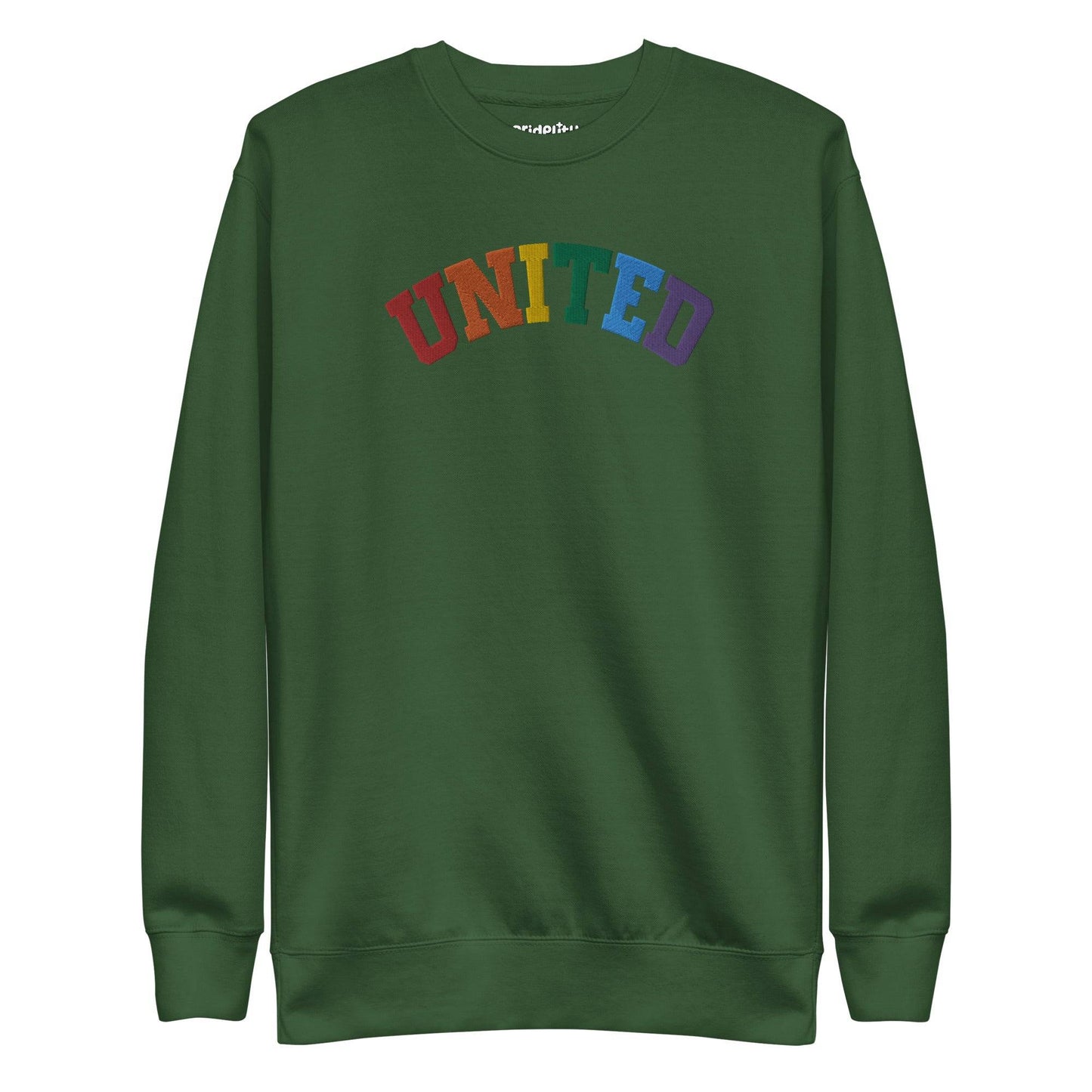 The United Sweatshirt from Pridelity's pride collection is a black design showcasing the word "UNITED" arced across the chest, with each letter in a different color to form a vibrant rainbow pattern. It features long sleeves and a crew neck, making it an ideal pride outfit for any occasion.