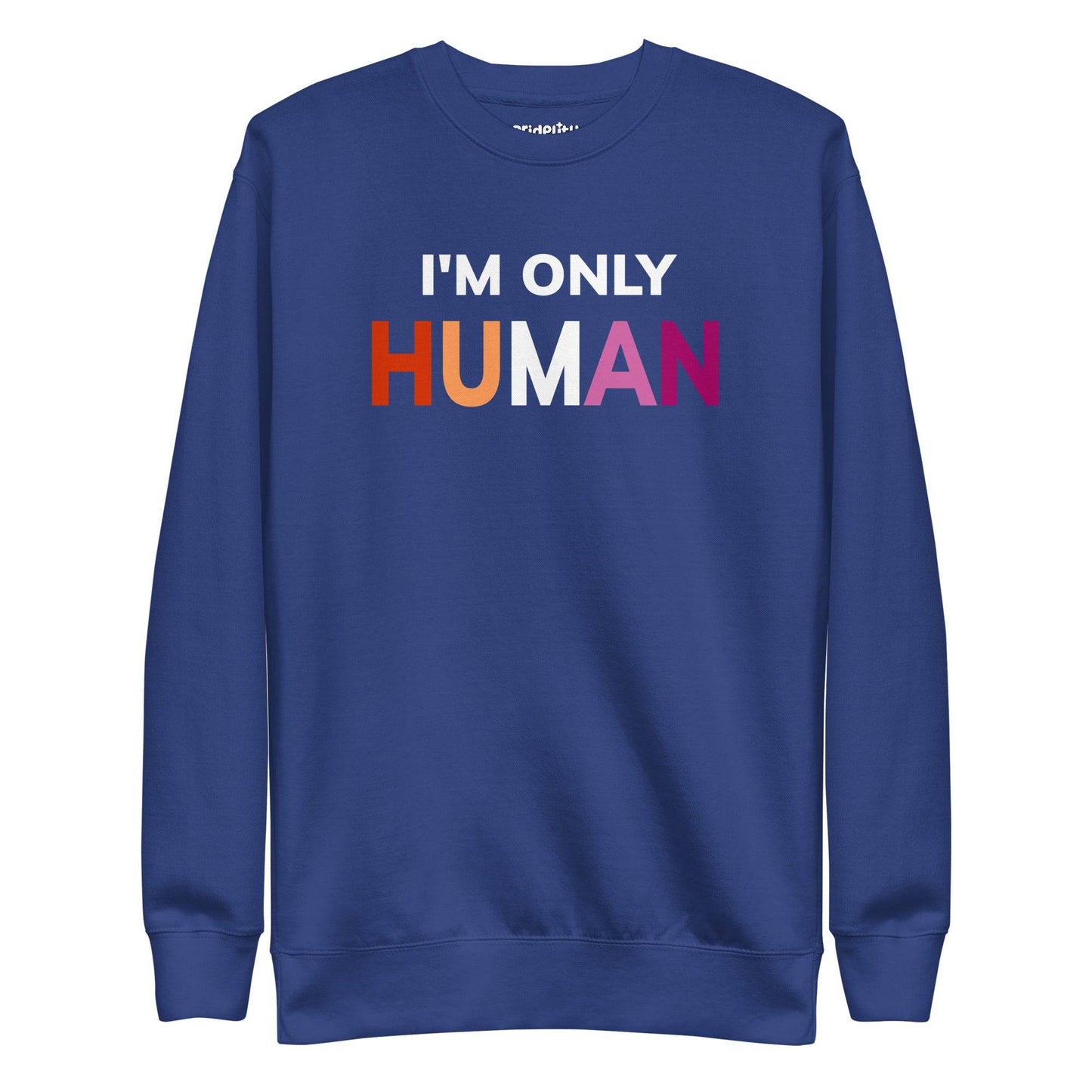 Introducing the "I'm Only Human" Sweatshirt by Pridelity—a black garment emblazoned with the phrase "I'M ONLY HUMAN" in striking white letters, enhanced with a lively rainbow color design across the front.