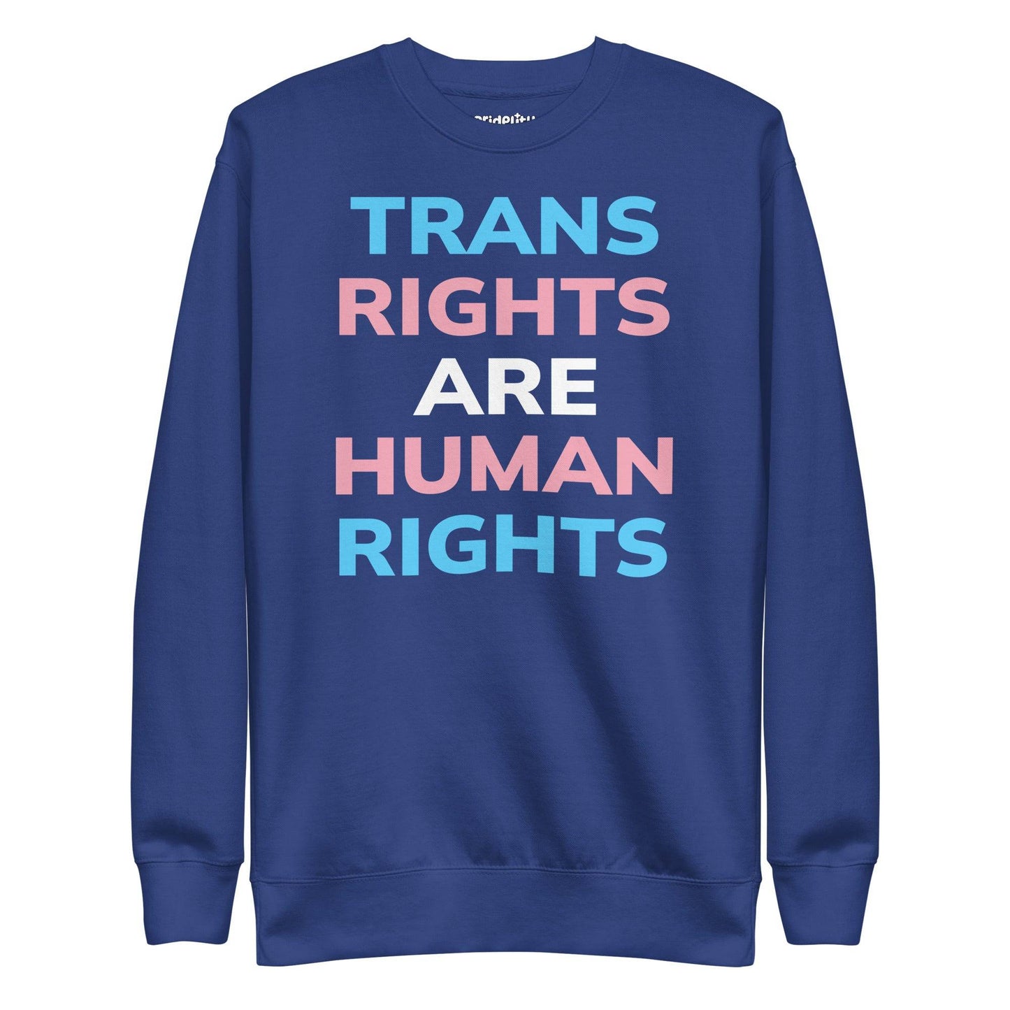 Introducing the Trans Rights Sweatshirt by Pridelity—a black sweatshirt prominently featuring the phrase "Trans Rights Are Human Rights" in striking blue, pink, and white letters. As a piece from our exclusive pride collection, it’s ideal for making a bold statement with any pride ensemble.