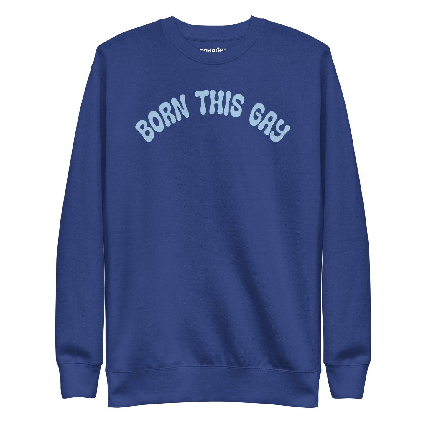 Introducing the **Born This Gay Sweatshirt** by Pridelity, a striking piece from our Pride Merch collection. This black sweatshirt proudly showcases the phrase "BORN THIS GAY" in light blue, elegantly curved across the chest.