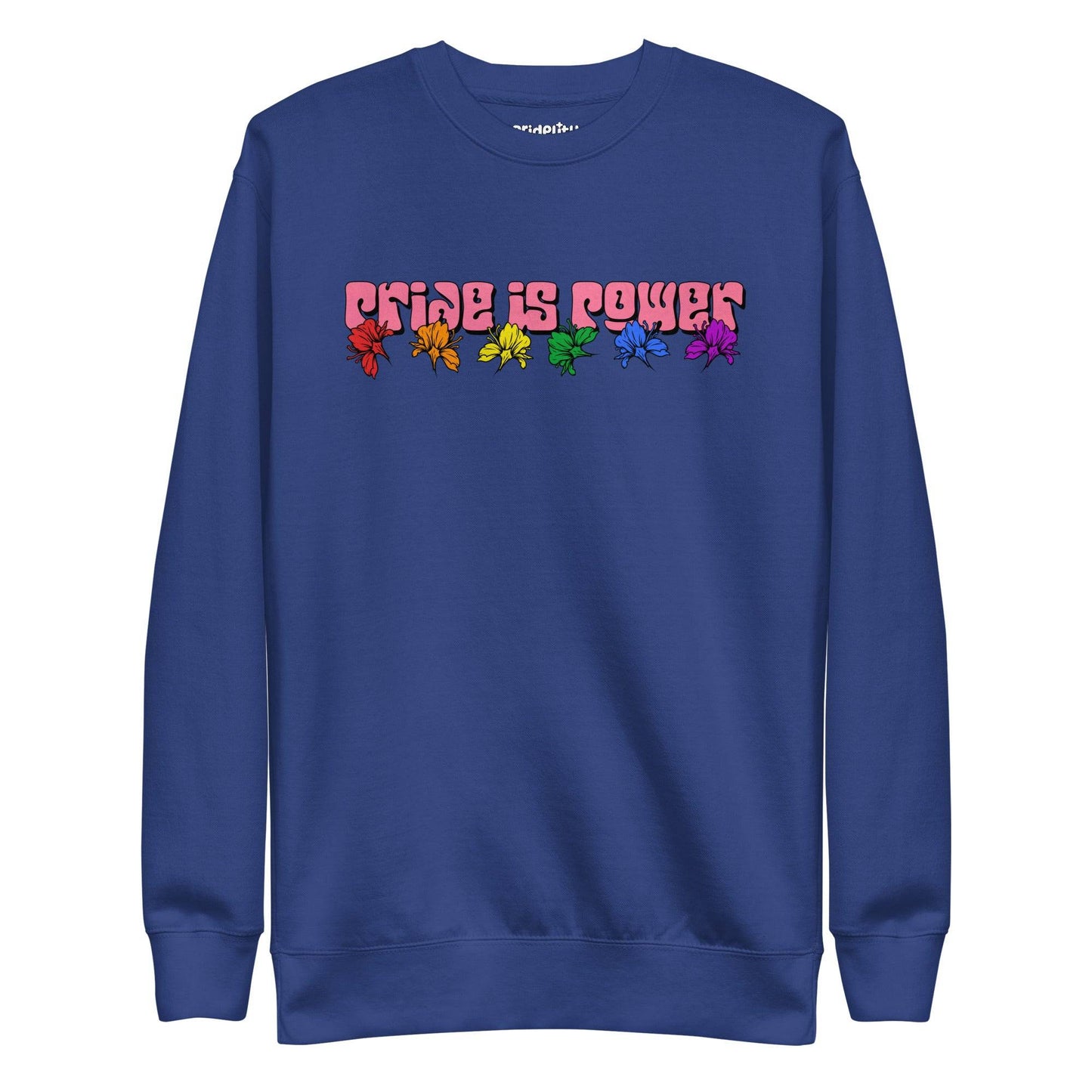 Introducing the "Pride Is Power Sweatshirt" by Pridelity, a black sweatshirt that features the phrase "PRIDE IS POWER" in eye-catching gradient letters. Below, six rainbow-colored butterflies symbolize diversity and pride, making it a standout piece from our pride collection.