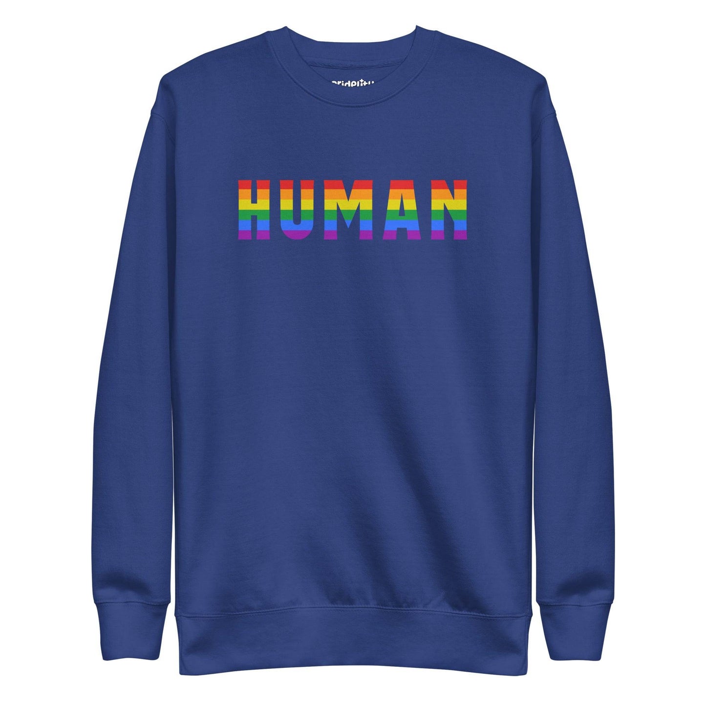 The Pridelity Human Sweatshirt features the word "HUMAN" in bold, rainbow-colored letters across its black fabric, embodying the essence of rainbow clothing against a plain white backdrop.