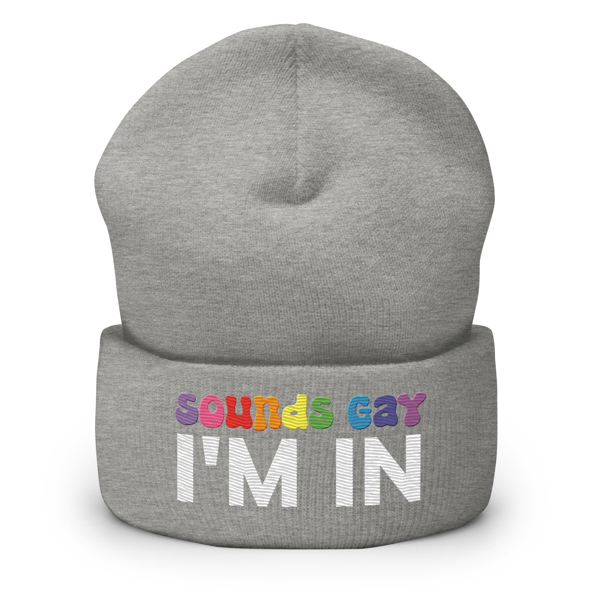 The Sounds Gay Beanie by Pridelity, with its bold lettering proclaiming 