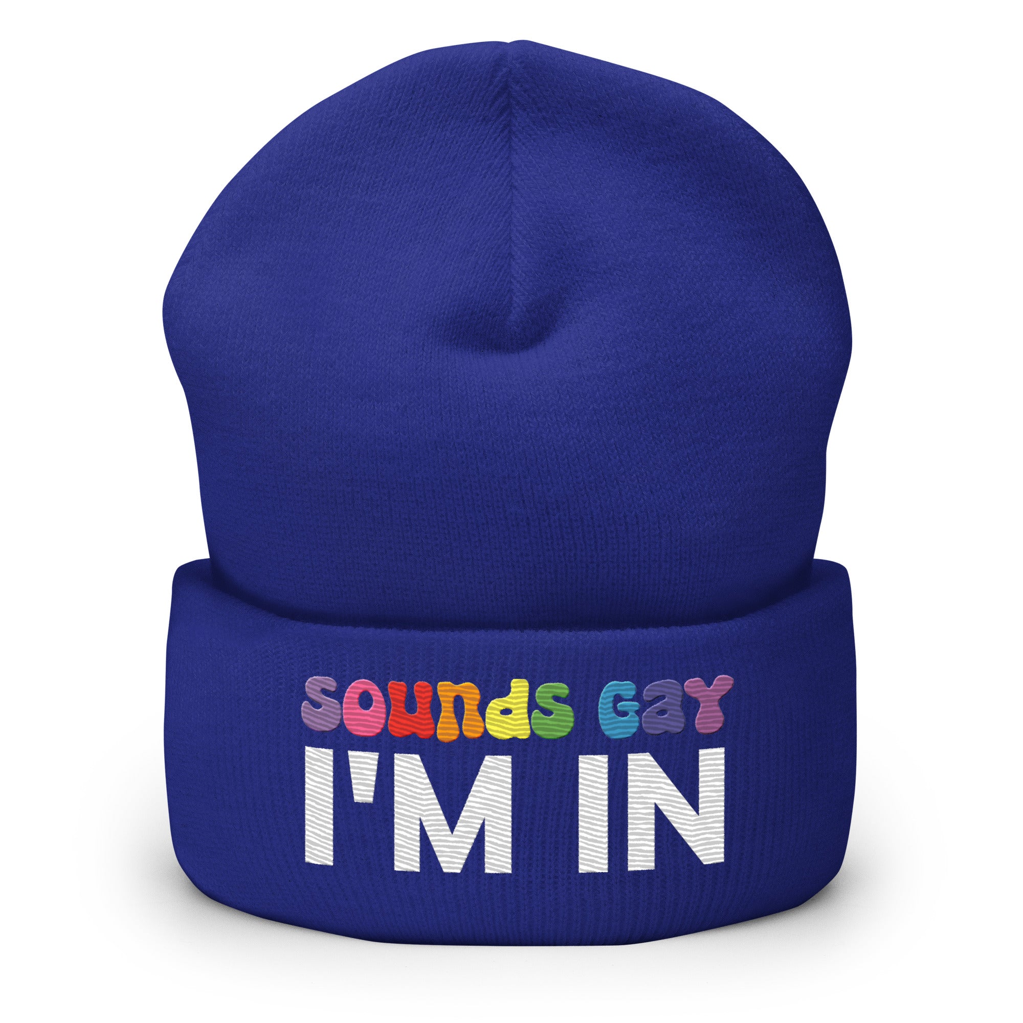 The Sounds Gay Beanie by Pridelity, with its bold lettering proclaiming 