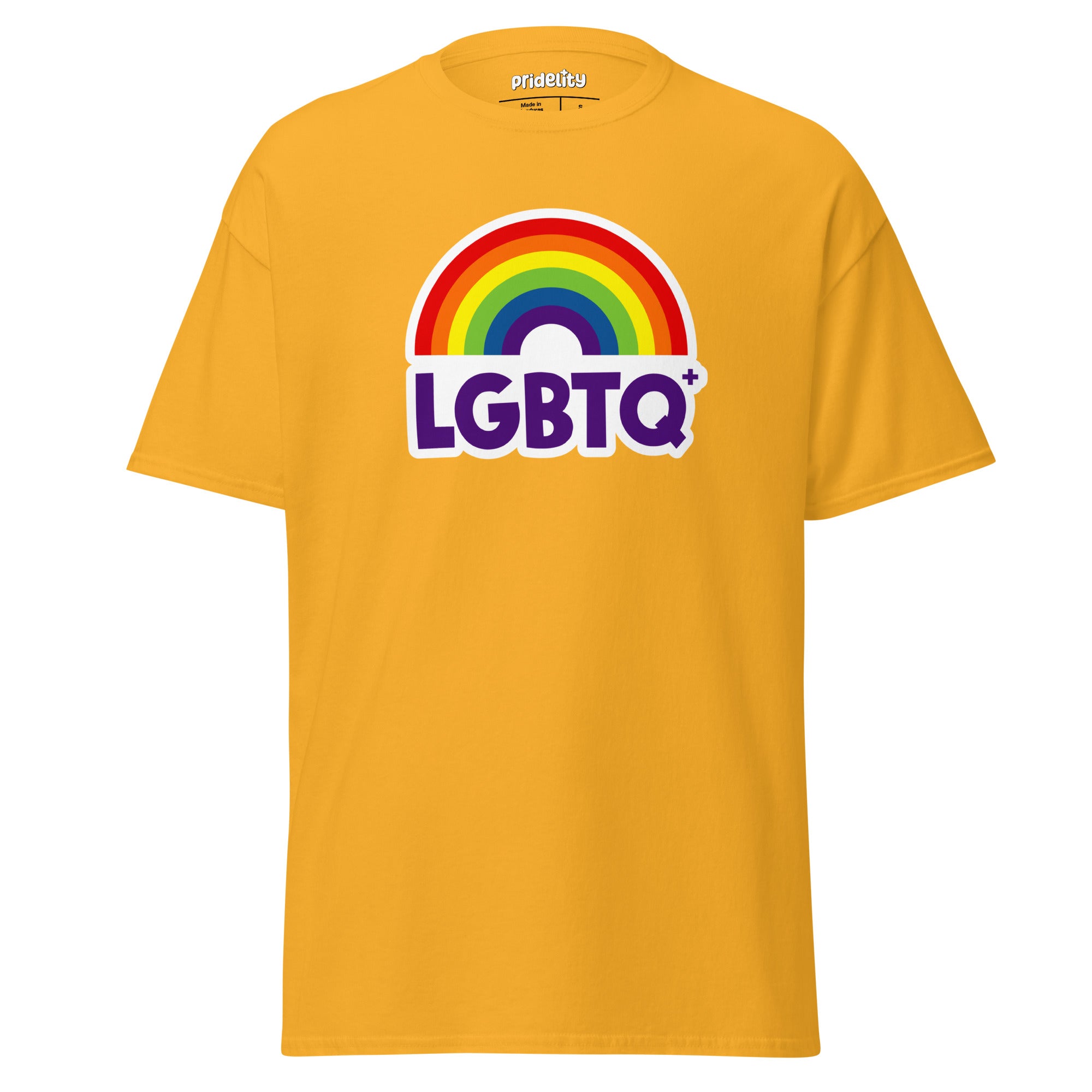 Introducing the Pridelity LGBTQ+ Rainbow T-Shirt: a black shirt adorned with a vibrant rainbow arching over bold, colorful 