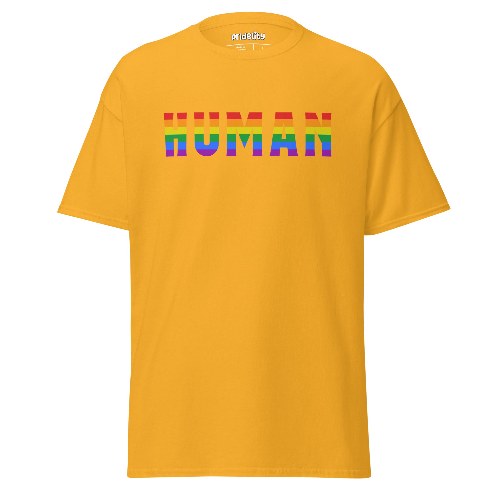 Introducing the Human T-Shirt by Pridelity: a stylish black tee featuring the word 