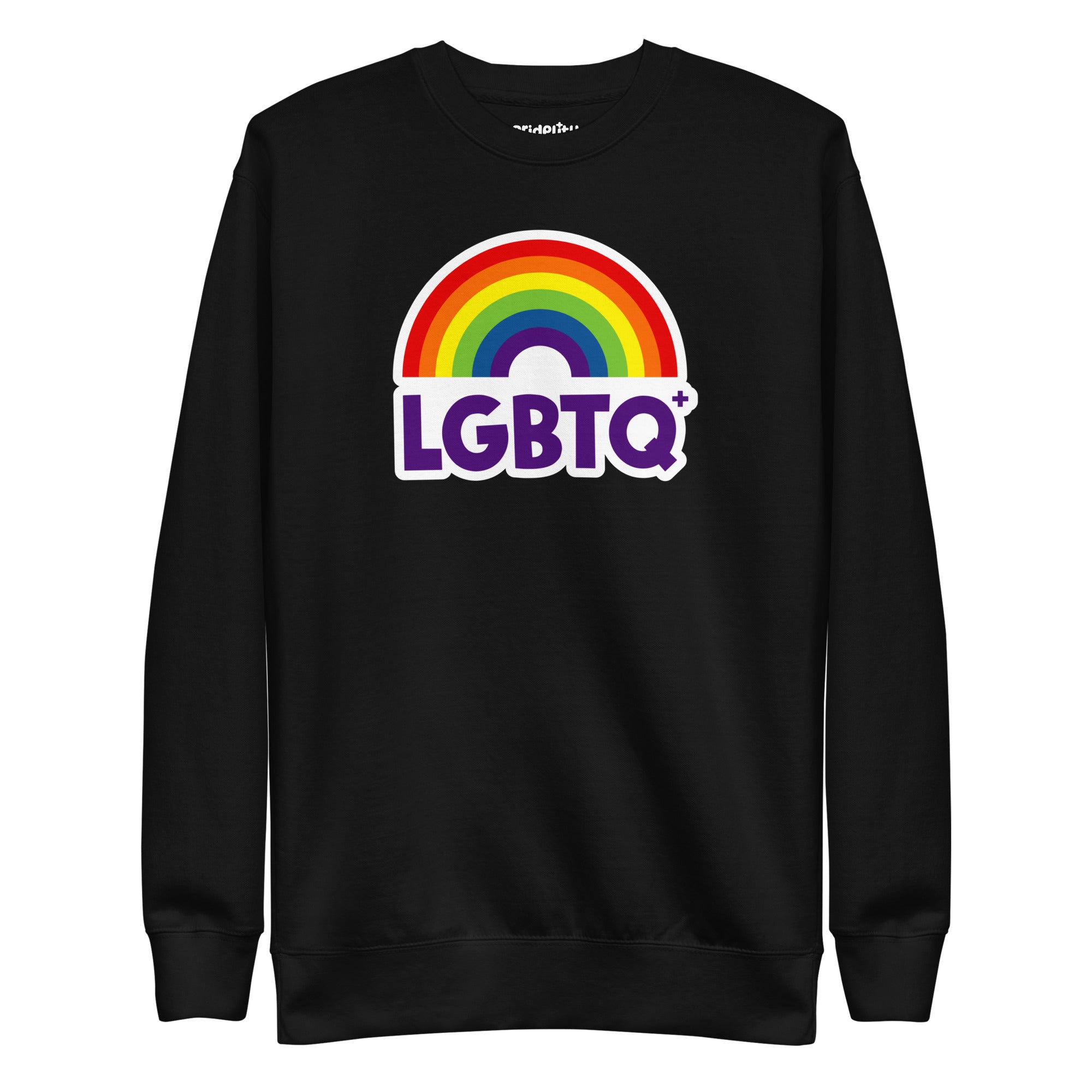 Introducing the Pridelity LGBTQ+ Sweatshirt in black, featuring a dynamic rainbow design with an arc and the word 