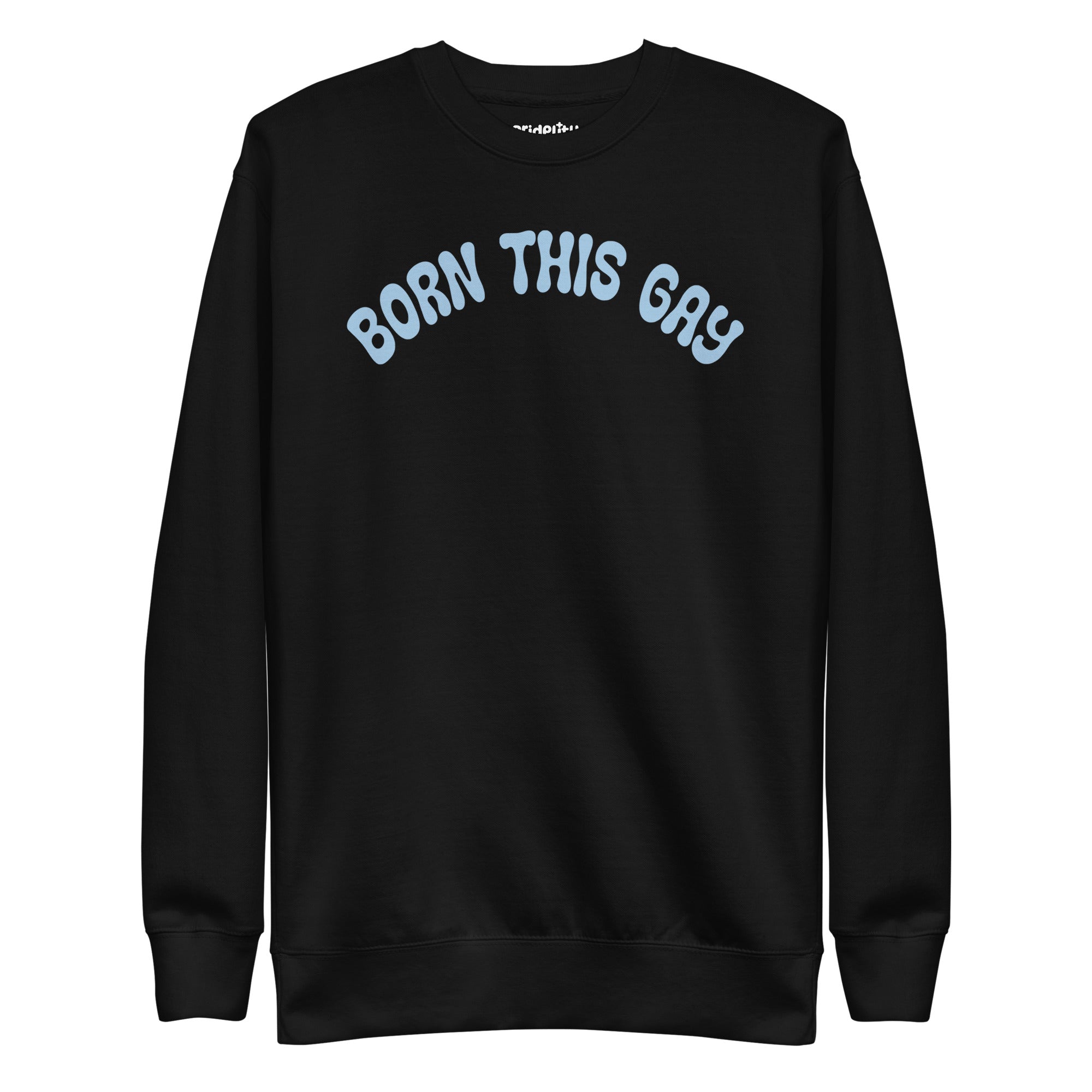 Introducing the **Born This Gay Sweatshirt** by Pridelity, a striking piece from our Pride Merch collection. This black sweatshirt proudly showcases the phrase 