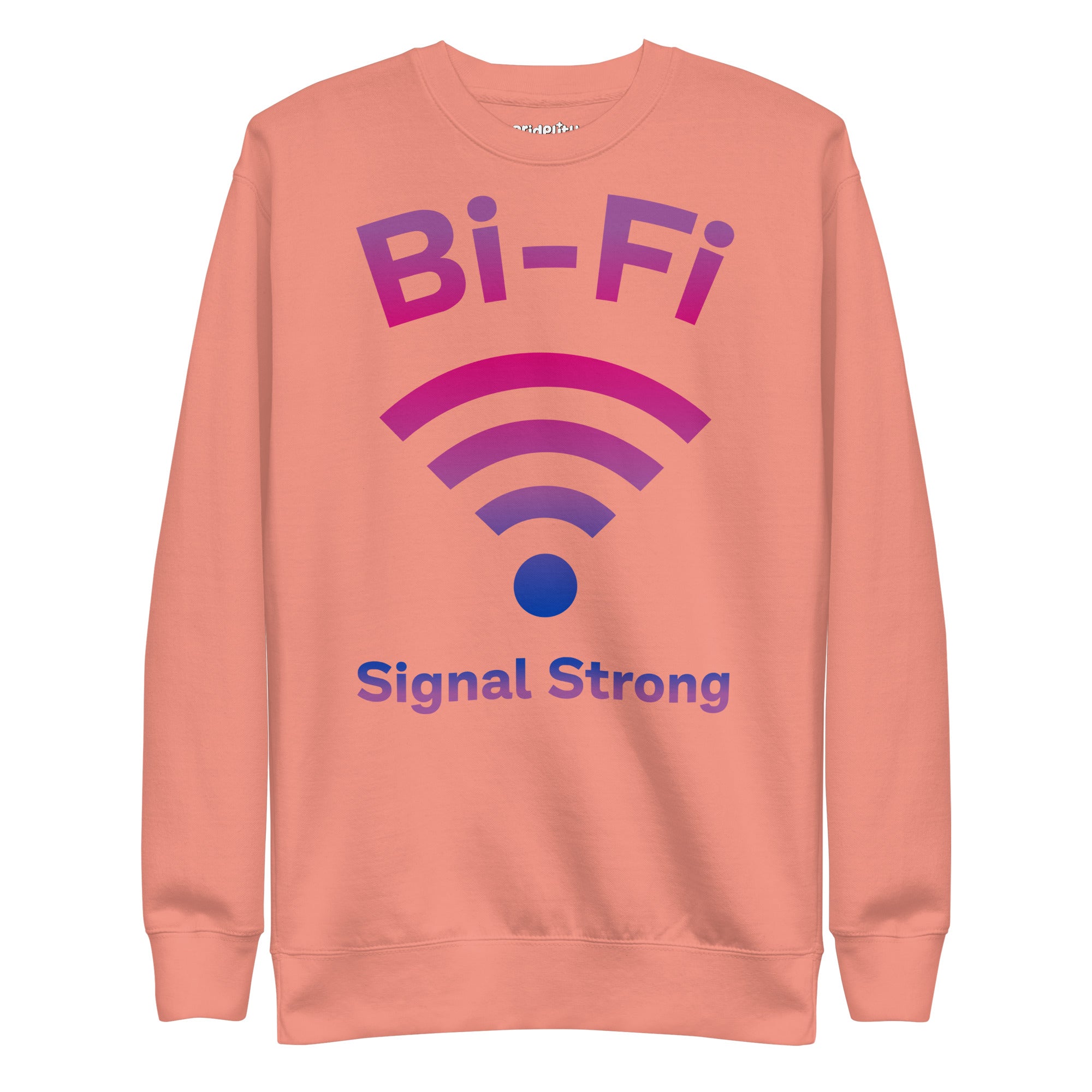 The Bi-Fi Sweatshirt by Pridelity showcases the words 