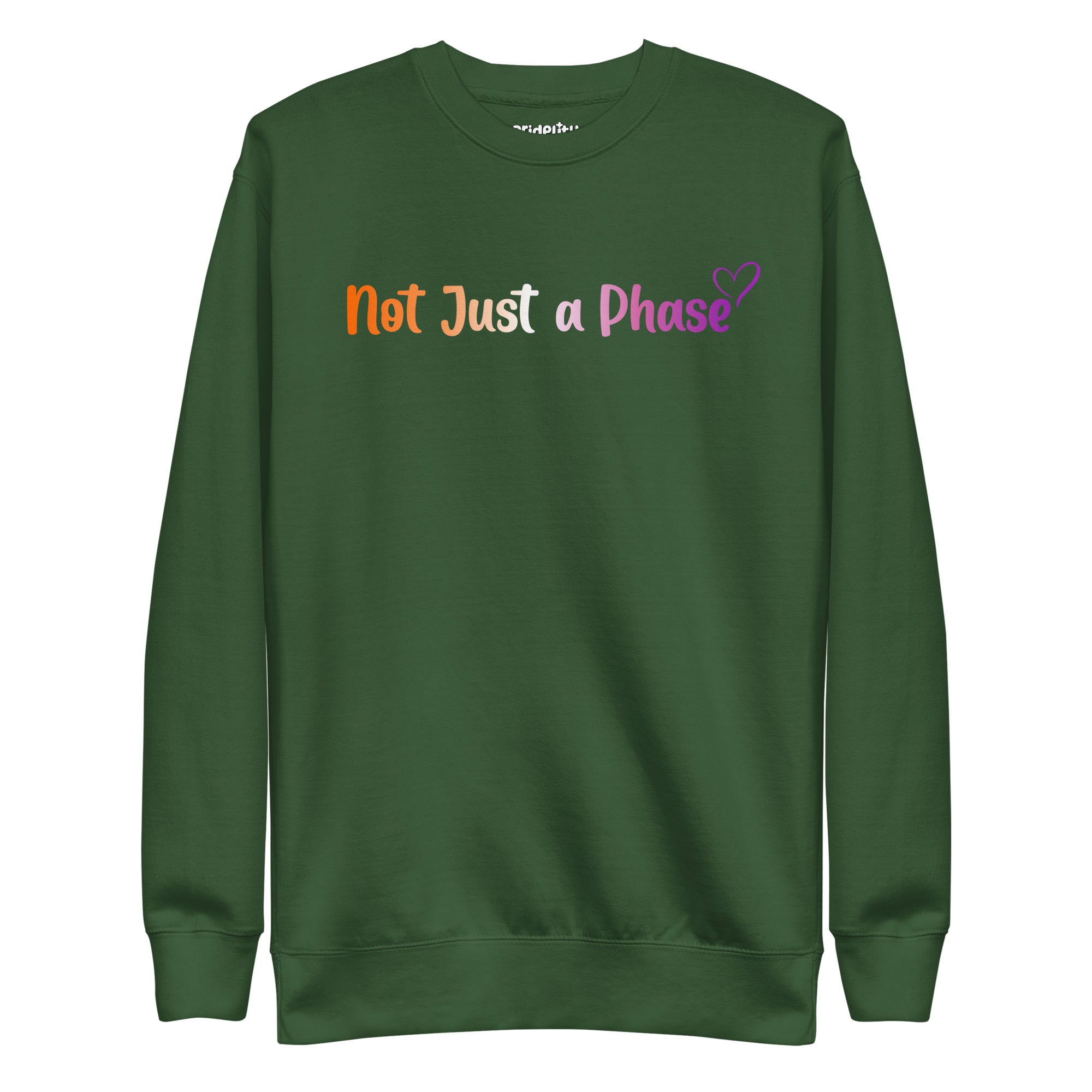 The black Not Just A Phase Sweatshirt by Pridelity, featuring rainbow text that reads 