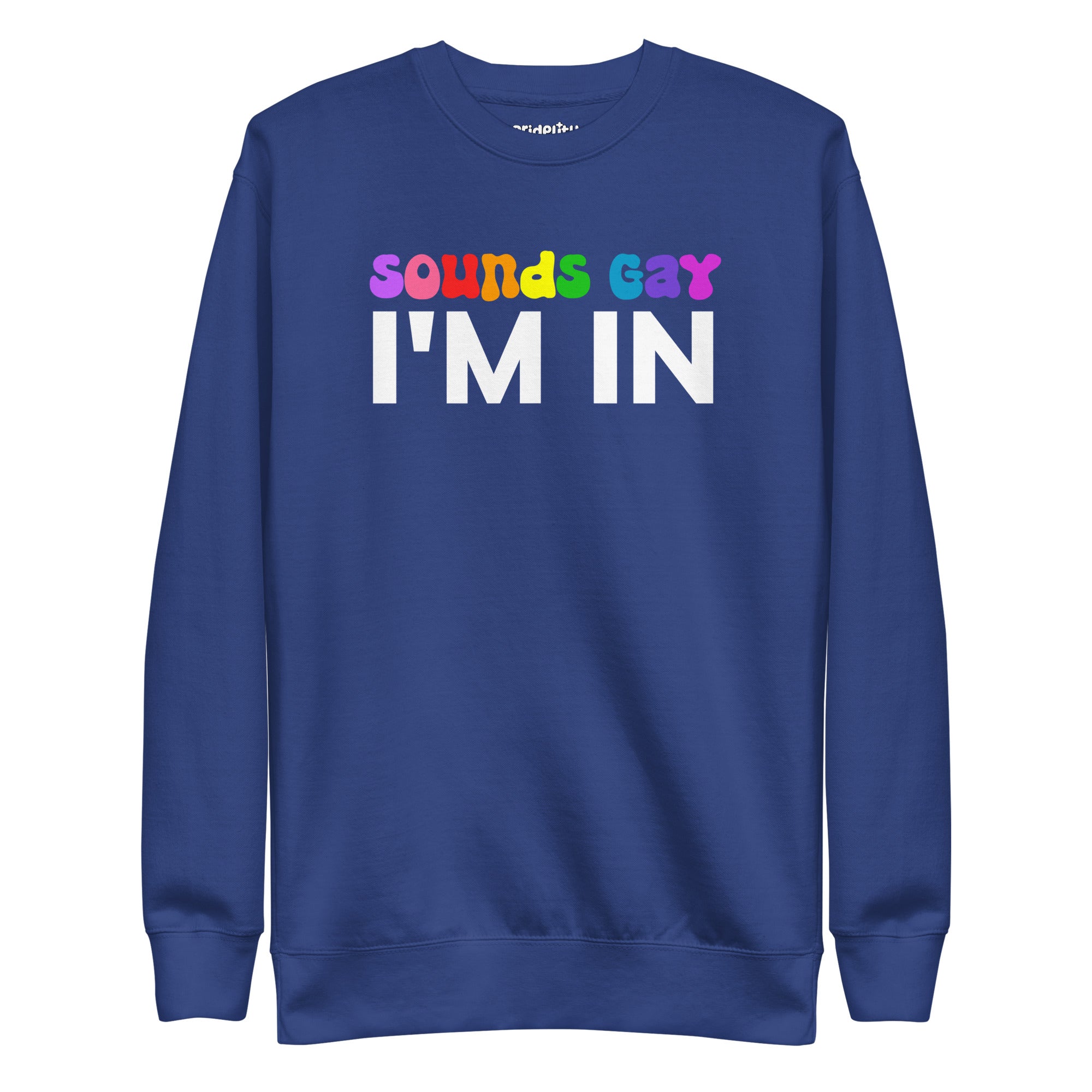 The Pridelity Sounds Gay Sweatshirt is a black top from our pride collection, showcasing the vibrant and playful text 