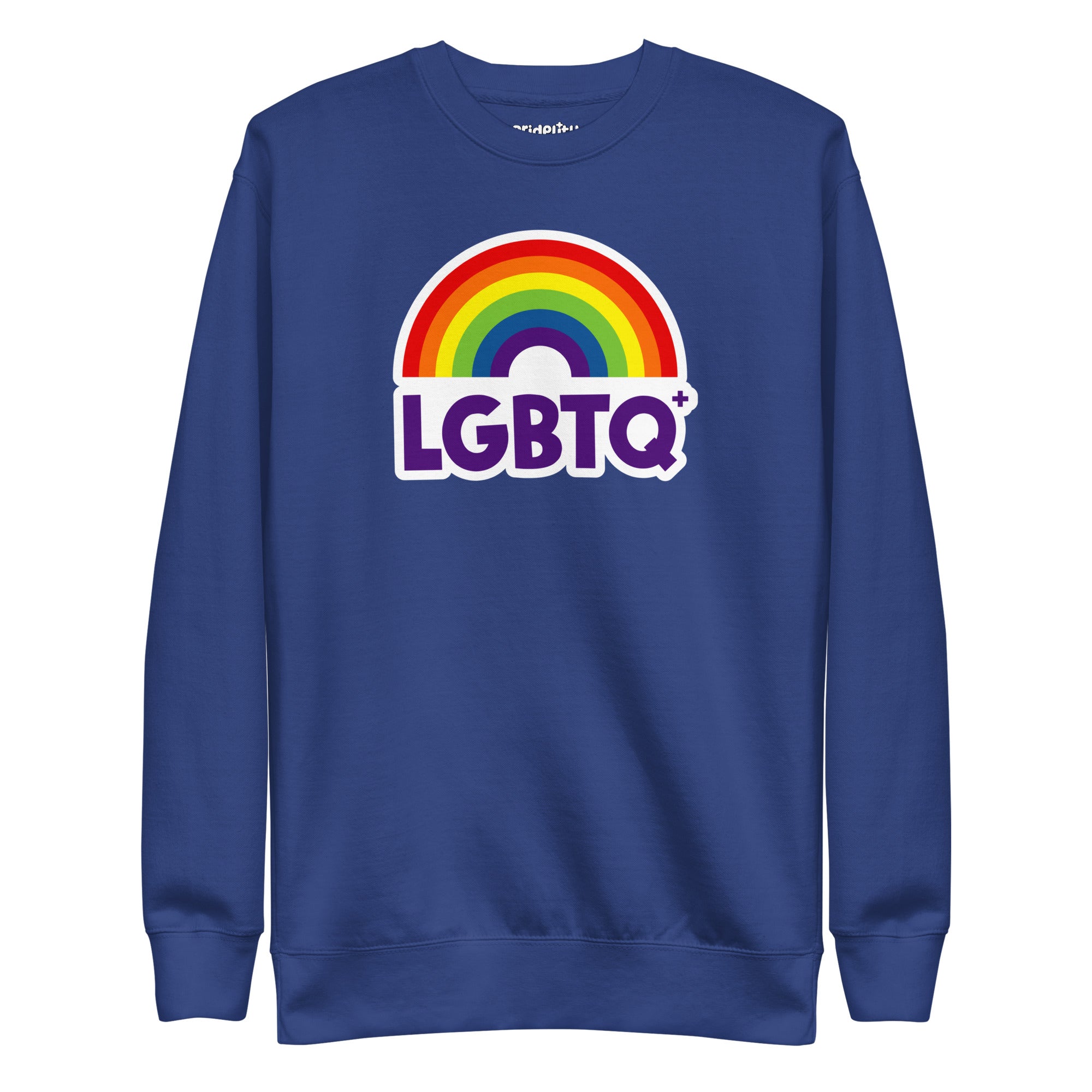 Introducing the Pridelity LGBTQ+ Sweatshirt in black, featuring a dynamic rainbow design with an arc and the word 