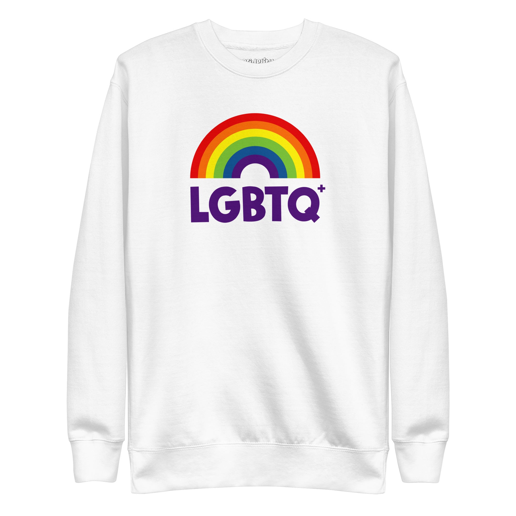 Introducing the Pridelity LGBTQ+ Sweatshirt in black, featuring a dynamic rainbow design with an arc and the word 